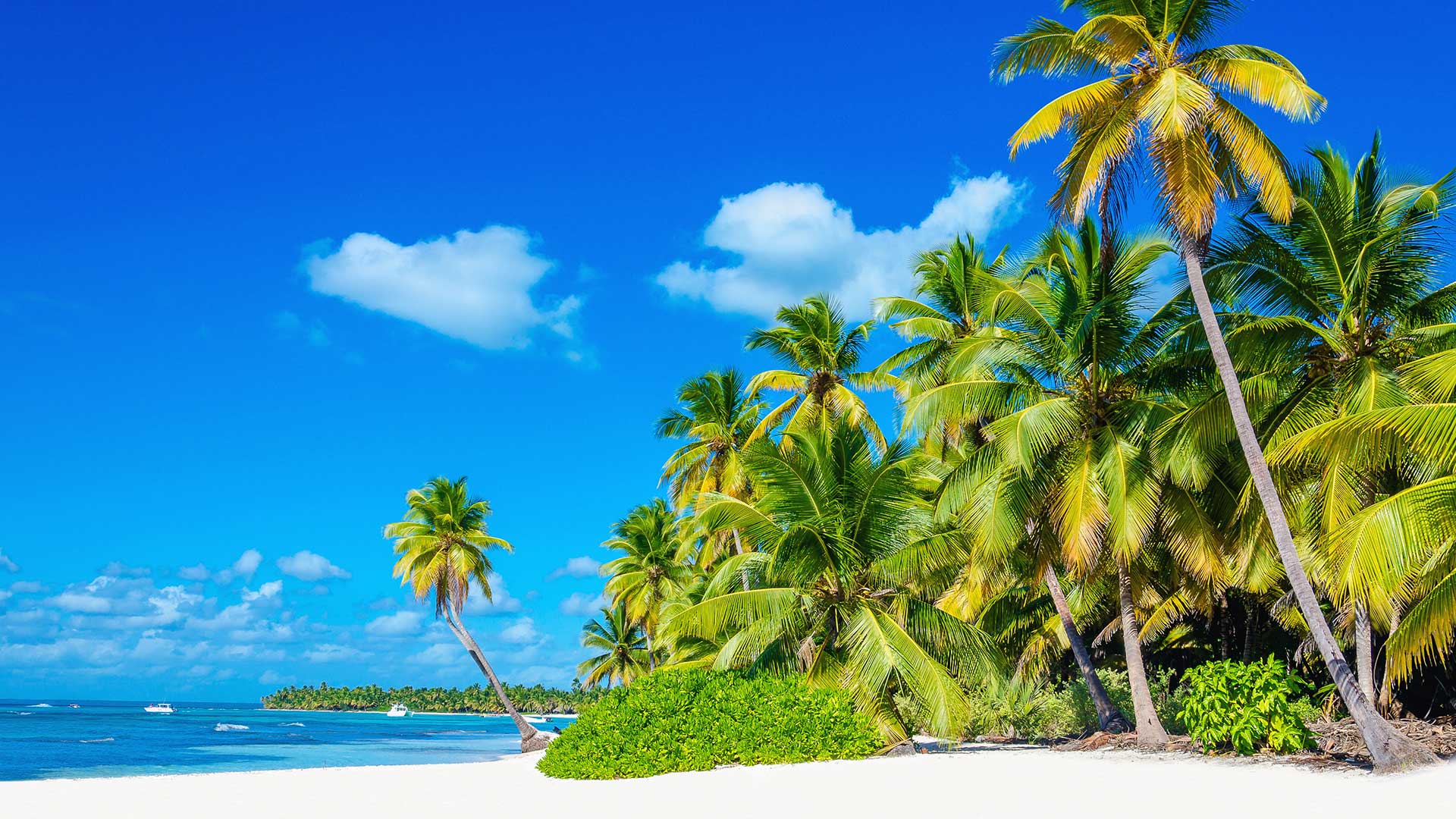 Pietro Yachting | Segeltörn | Martinique